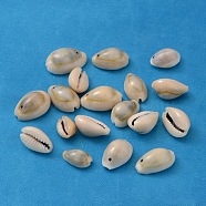 Natural Cowrie Shell Beads, Dyed, Seashell Color, Size: about 13~16mm long, 10~11mm wide, 7~9mm thick, hole: 2mm(X-BSHE-S047)