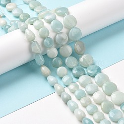 Natural Amazonite Beads Strands, Mixed Shapes, 10~14x5~8.5mm, Hole: 1~1.2mm, about 29~40pcs/strand, 15.75~16.14 inch(40~41cm)(G-C238-09)
