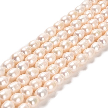 Natural Cultured Freshwater Pearl Beads Strands, Rice, Grade A, Lime, 8~9x6~7mm, Hole: 0.7mm, about 41~42pcs/strand, 13.98~14.17''(35.5~36cm)