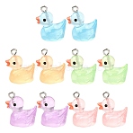10Pcs 5 Colors Luminous Transparent Resin Pendants, Duck Charms, with Platinum Tone Iron Loops, Mixed Color, 18~20x17~18x12mm, Hole: 2mm, 2pcs/color(RESI-YW0001-38)