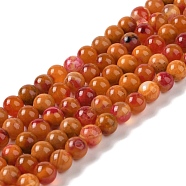 Natural Agate Bead Strands, Dyed & Heated, Round, Dark Orange, 8mm, Hole: 0.7mm, about 44pcs/strand, 14.17 inch(36cm)(G-C116-B01-03)