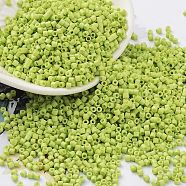 Baking Paint Glass Seed Beads, Cylinder, Yellow Green, 2x1.5mm, Hole: 1mm, about 50398pcs/pound(SEED-S042-05B-62)
