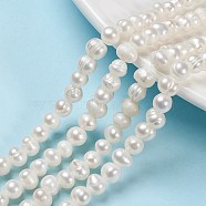 Natural Cultured Freshwater Pearl Beads Strands, Potato, Old Lace, 6.5~7mm, Hole: 0.8mm, about 57~58pcs/strand, about 13.39~13.58''(34~34.5cm)(PEAR-N013-06G)