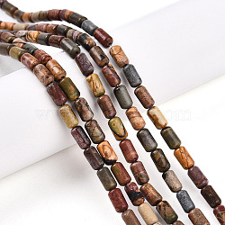 Natural Picasso Jasper/Polychrome Jasper Beads Strands, Barrel, 7.5~8x4~5mm, Hole: 0.6mm, about 48pcs/strand, 15.16~15.35 inch(38.5~39cm)(G-N346-01A-05)