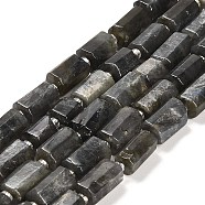 Natural Larvikite Beads Strands, with Seed Beads, Faceted Column, 9~11x6~7.5x6~7.5mm, Hole: 1.2mm, about 30pcs/strand, 15.16~15.55 inch(38.5~39.5cm)(G-G068-A21-01)