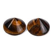 Natural Tiger Eye Cabochons, Cone, 30x17.5mm(G-Q184-01H)