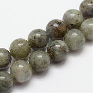 Natural Labradorite Bead Strands, Round, 6mm, Hole: 1mm, about 31pcs/strand, 7.7 inch(G-O155-05B-6mm)