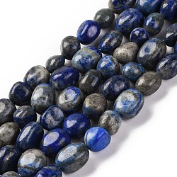 Natural Lapis Lazuli Beads Strands, Nuggets, Tumbled Stone, 7~12x6~8x5~7mm, Hole: 1mm, about 43~44pcs/strand, 15.47~15.63''(39.3~39.7cm)(G-G146-A34-01)