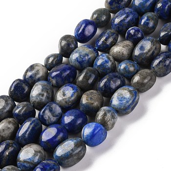 Natural Lapis Lazuli Beads Strands, Nuggets, Tumbled Stone, 7~12x6~8x5~7mm, Hole: 1mm, about 43~44pcs/strand, 15.47~15.63''(39.3~39.7cm)