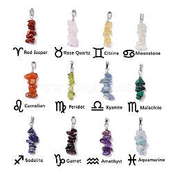 12Pcs 12 Style 12 Constellation Mixed Gemstone Pendants, Chip Charms with 304 Stainless Steel Snap on Bails, Stainless Steel Color, 28~30x6~12x5~8mm, Hole: 6x3mm, 1pc/style(PALLOY-JF02816)