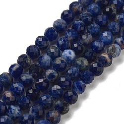 Natural Sodalite Beads Strands, Faceted, Grade A, Round, 4~4.5mm, Hole: 0.7mm, about 92~95pcs/strand, 15.24~15.51''(38.7~39.4cm)(G-B088-C03-04)