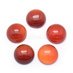 Natural Carnelian Cabochons, Dyed & Heated, Half Round, 13.5~14x6~8mm(G-P393-R18-14mm)