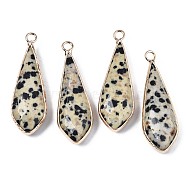 Natural Dalmatian Jasper Pendants, with Golden Plated Brass Edge and Loop, Teardrop, Faceted, 36~37x12x6mm, Hole: 2.5mm(G-S359-319C)