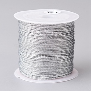 Metallic Thread, Embroidery Thread, for Jewelry Making, Silver, 0.8mm, about 25m/roll, 1roll(MCOR-CJ0001-03C)
