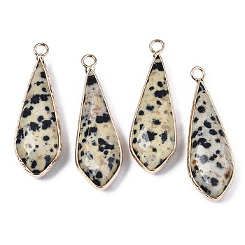 Natural Dalmatian Jasper Pendants, with Golden Plated Brass Edge and Loop, Teardrop, Faceted, 36~37x12x6mm, Hole: 2.5mm
