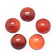 Natural Carnelian Cabochons(G-P393-R18-14mm)-1