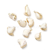 Natural Trochus Shell Pendants, Nuggets Charms, with Light Gold Tone Brass Findings, WhiteSmoke, 13~21x10~13.5x9~13mm, Hole: 1.8mm(BSHE-E025-01LG)