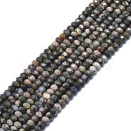 Natural Glaucophane Beads Strands, Faceted, Rondelle, 6x4mm, Hole: 1mm, about 85~90pcs/strand, 15.55 inch(39.5cm)(G-F715-083)