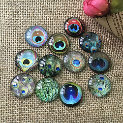 K5 Glass Cabochons, Half Round with Peacock Feather Pattern, Mixed Color, 25mm(FEAT-PW0001-085J)