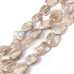 AB Color Plated Natural Freshwater Shell Beads Strands, Rhombus, 16.5~22x15~25x3~13mm, Hole: 1mm, about 19~20pcs/strand, 15.43~15.87 inch(39.2~40.3cm)(X-BSHE-G033-03B)