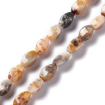 Natural Crazy Lace Agate Beads Strands, Twist, 12x6x6mm, Hole: 1mm, about 33~34pcs/strand, 15.39''~15.98''(39.1~40.6cm)