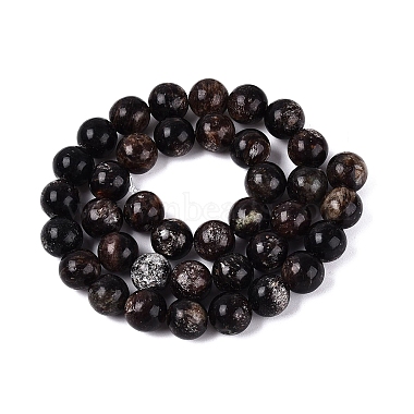 Natural Biotite Beads Strands(G-Q616-01D)-3
