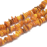 Freshwater Shell Beads Strands, Dyed, Chip, Dark Orange, 8~28x6~8x1~4.5mm, Hole: 1mm, about 340~380pcs/strand, 29.9 inch(SHEL-S272-18)