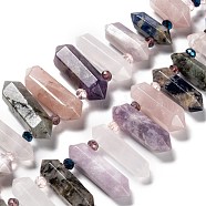 Natural Amethyst & Rose Quartz & Quartz Crystal & Blue Spot Jasper & Lepidolite & Labradorite Beads Strands, Bullet, 19~46x5~13x9~13mm, Hole: 1.8mm, about 21pcs/strand, 14.76''(37.5cm)(G-H247-06A)
