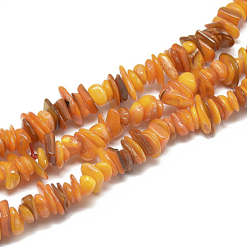 Freshwater Shell Beads Strands, Dyed, Chip, Dark Orange, 8~28x6~8x1~4.5mm, Hole: 1mm, about 340~380pcs/strand, 29.9 inch