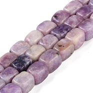 Natural Lepidolite Beads Strands, Cuboid, 14~15x10~11x10~11mm, Hole: 0.5mm, about 27~29pcs/strand, 15.91''~16.14''(40.4~41cm)(G-M403-D06-01)