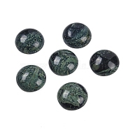 Natural Kambaba Jasper Cabochons, Half Round, 18x6~8mm(G-T020-18mm-34)