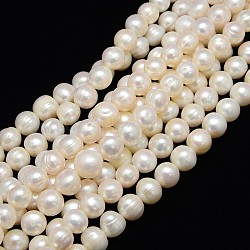 Natural Cultured Freshwater Pearl Beads Strands, Potato, Creamy White, 11~12mm, Hole: 0.8mm, about 35pcs/strand, 13.77 inch~14.17 inch(PEAR-L001-B-07-01)