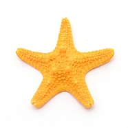 Opaque Resin Cabochons, Starfish, Goldenrod, 43x45x14mm(DJEW-WH0011-12F)