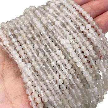 Natural White Moonstone Beads Strands, Faceted, Round, 3.75mm, Hole: 0.6mm, about 114~115pcs/strand, 15.47''~15.55''(39.3~39.5cm)