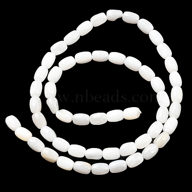 Natural Freshwater Shell Beads Strands(SHEL-R129-02)-3