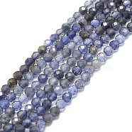 Natural Iolite/Cordierite/Dichroite Beads Strands, Faceted, Round, 3mm, Hole: 0.7mm, about 132pcs/strand, 15.16''~15.55''(38.5~39.5cm)(G-P457-A02-11)
