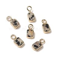 Natural Dalmatian Jasper Rectangle Charms, with Golden Tone Brass Edge, 9.5x5x2.5mm, Hole: 2mm(G-Q169-07G-06)