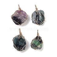 Raw Rough Natural Fluorite Copper Wire Wrapped Big Pendants, Nuggets Charms, Golden, 44.5~57.5x24~34x20~34mm, Hole: 7x6mm(G-B077-01G-04)