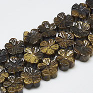 Carved Natural Tiger Eye Beads Strands, Plum Blossom, 13~14x13~14x7~8mm, Hole: 1mm, about 16pcs/strand, 8.2 inch~8.6 inch(G-T122-08A)