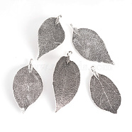 Electroplated Natural Leaf Big Pendants, with Iron Findings, Antique Silver Plated, 50~80x20~35x1mm, Hole: 3x6mm(X-IFIN-Q119-03G)