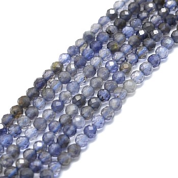 Natural Iolite/Cordierite/Dichroite Beads Strands, Faceted, Round, 3mm, Hole: 0.7mm, about 132pcs/strand, 15.16''~15.55''(38.5~39.5cm)