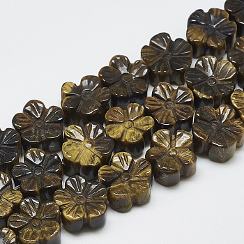 Carved Natural Tiger Eye Beads Strands, Plum Blossom, 13~14x13~14x7~8mm, Hole: 1mm, about 16pcs/strand, 8.2 inch~8.6 inch