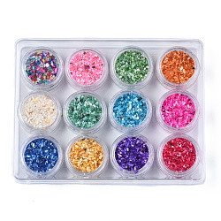 Natural Freshwater Shell  Flakes, Manicure Nail Art Decoration, Mixed Color, 0.5~4x0.5~2x0.1~1mmk, , about 10g/bottle, 12bottle/box(SHEL-S278-037)