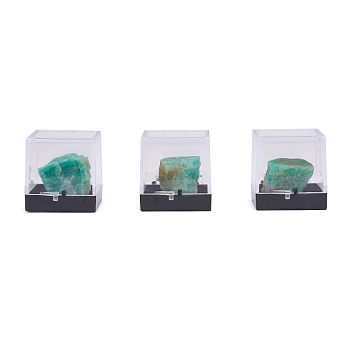 Nuggets Natural Amazonite, Rough Raw Stone Home Display Decorations, with Packing Box, 13~34x5~27x5~27mm, 6pcs/box