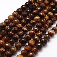 Faceted Natural Tiger Eye Beads Strands, Round, 8mm, Hole: 1mm, about 48pcs/strand, 14.5 inch(G-F364-04-8mm)