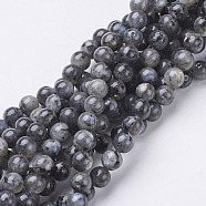 Natural Larvikite/Black Labradorite Beads Strands, Round, about 6mm, Hole: 0.8mm, about 63pcs/strand, 15.5 inch(X-GSR6mmC128)