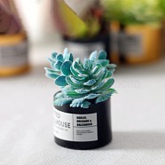 Resin Succulents Pot Model, Moss Micro Landscape Dollhouse Decoration, Random Color Pot, Pale Turquoise, 30x21mm(WG57627-04)