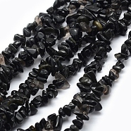 Glass Beads Strands, Chip, Black, 5~8mm, Hole: 1mm, about 33 inch(84cm)(G-P332-25A)