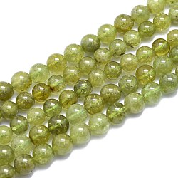 Natural Green Garnet Beads Strands, Round, 8~8.5mm, Hole: 0.8mm, about 46pcs/Strand, 15.08 inch(38.3cm)(G-K310-C17-8mm)