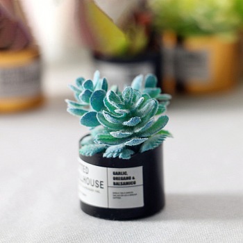 Resin Succulents Pot Model, Moss Micro Landscape Dollhouse Decoration, Random Color Pot, Pale Turquoise, 30x21mm